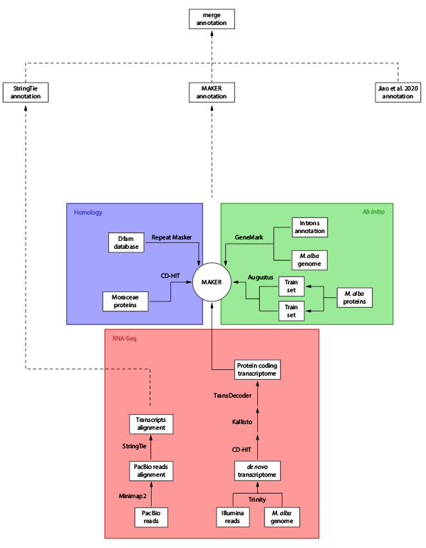 Reannotation pipeline